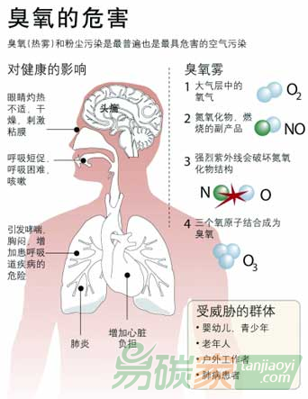 北京近日遭遇光化学烟雾？你不得不知道的无形伤害(图4)